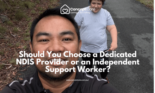 Should You Choose a Dedicated NDIS Provider or an Independent Support Worker2